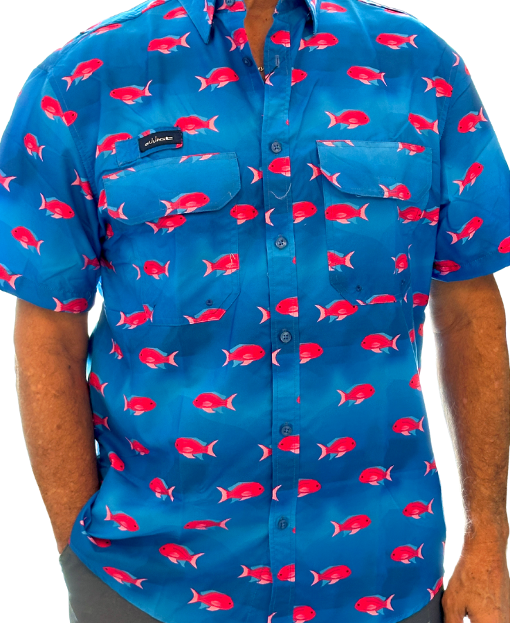 Fuchsia Grouper