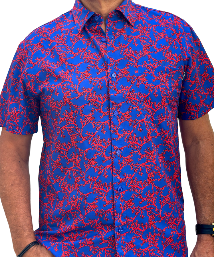 Blue Coral