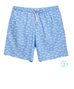 Seagulls Long Short